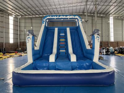 Dolphin slide